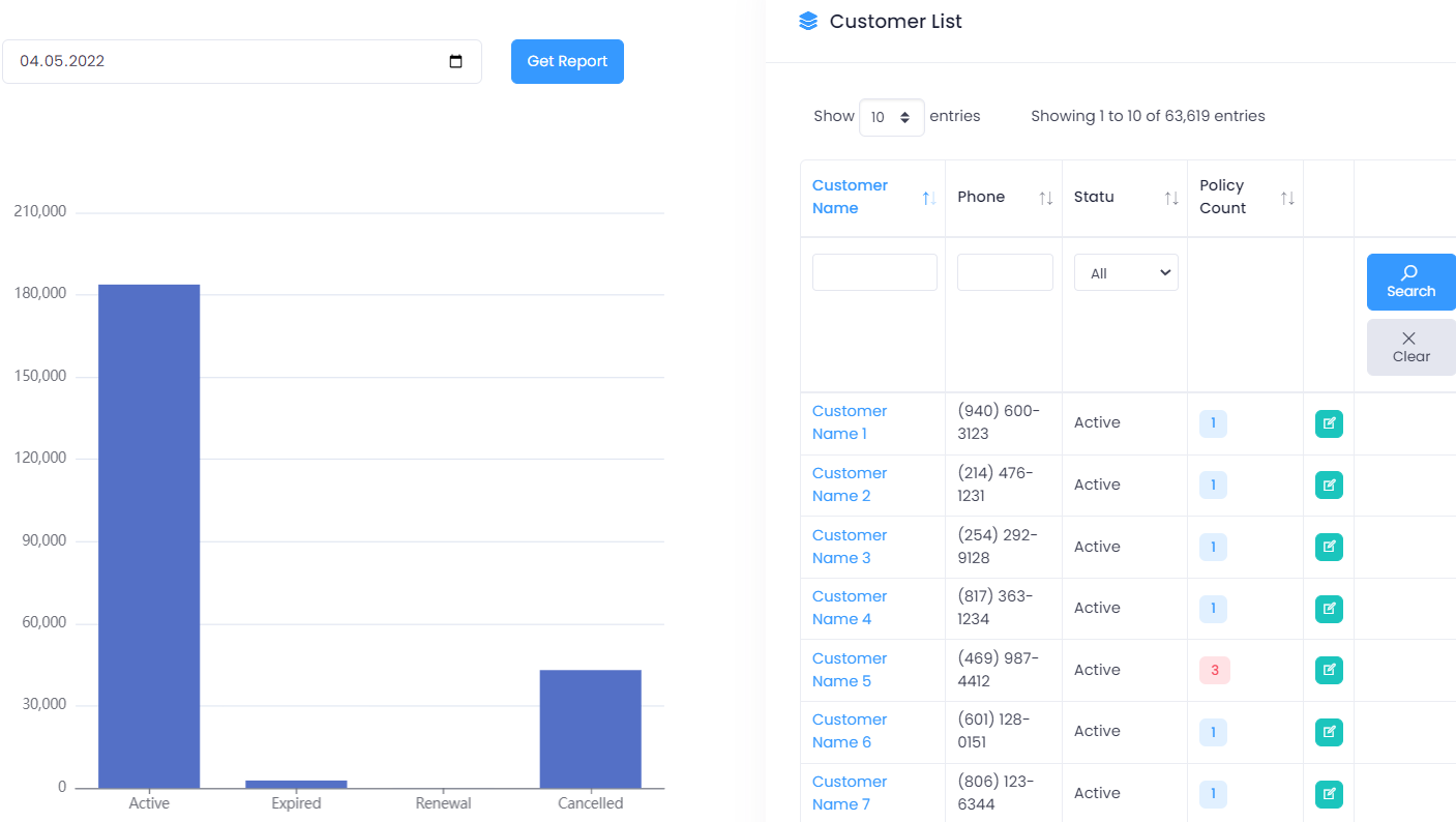 Customer Snapshot Report